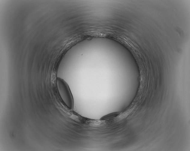X0000112820096200908211009