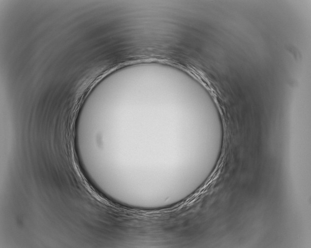 X0000112820097200908211008