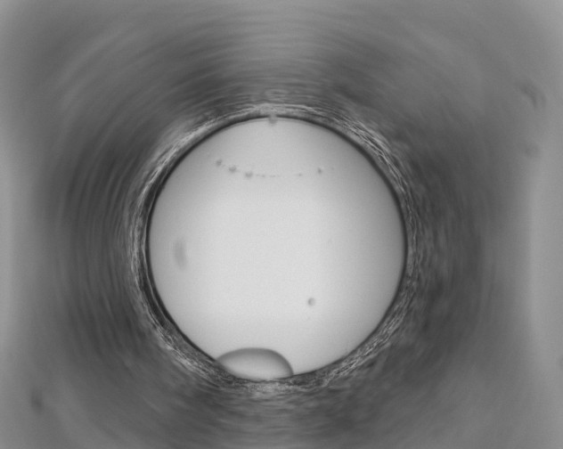 X0000112820098200908211008