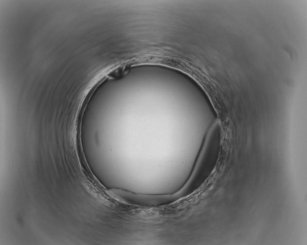 X0000112820100200908211008