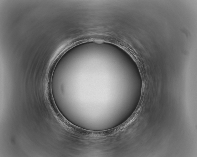 X0000112820101200908211008