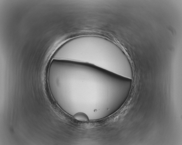 X0000112820103200908211008