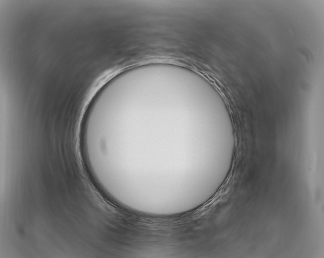 X0000112820104200908211008