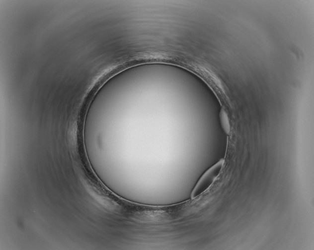 X0000112820108200908211008
