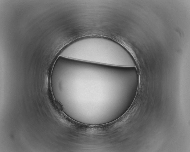 X0000112820109200908211008