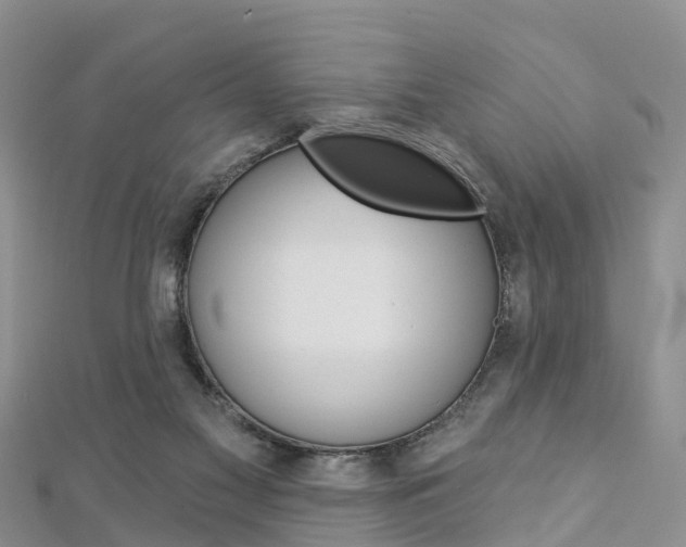 X0000112820117200908211008