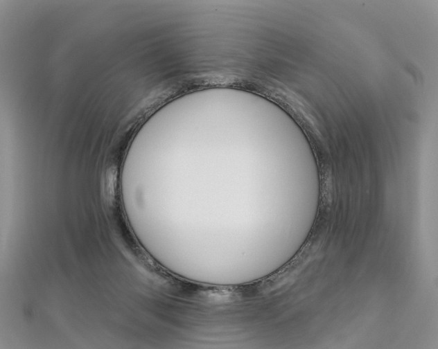 X0000112820118200908211008