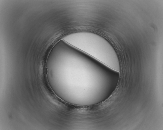 X0000112820120200908211008