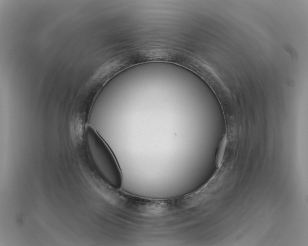 X0000112820124200908211008