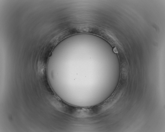 X0000112820125200908211008
