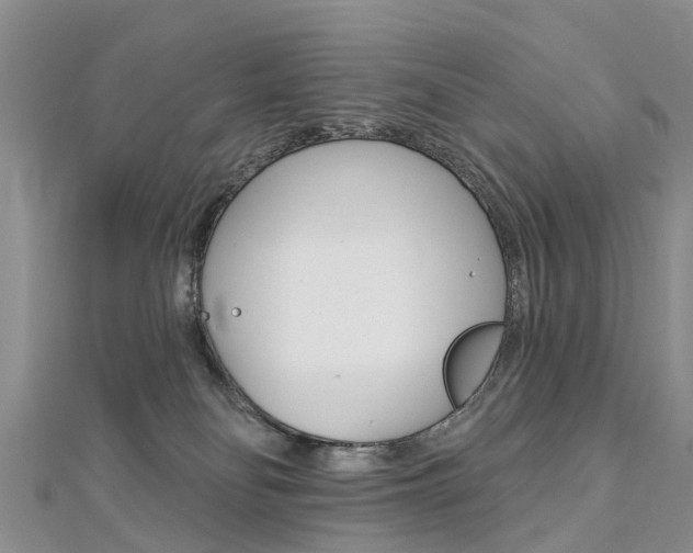 X0000112820134200908211008