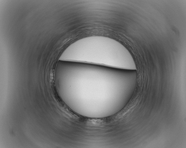 X0000112820137200908211008