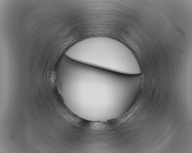 X0000112820141200908211008