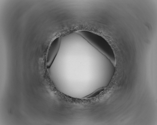 X0000112820144200908211008