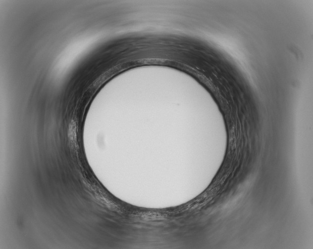 X0000112820146200908211007
