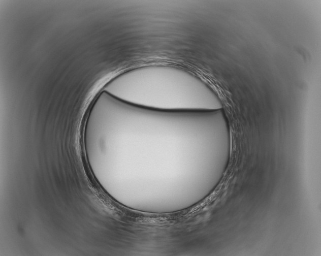 X0000112820147200908211007