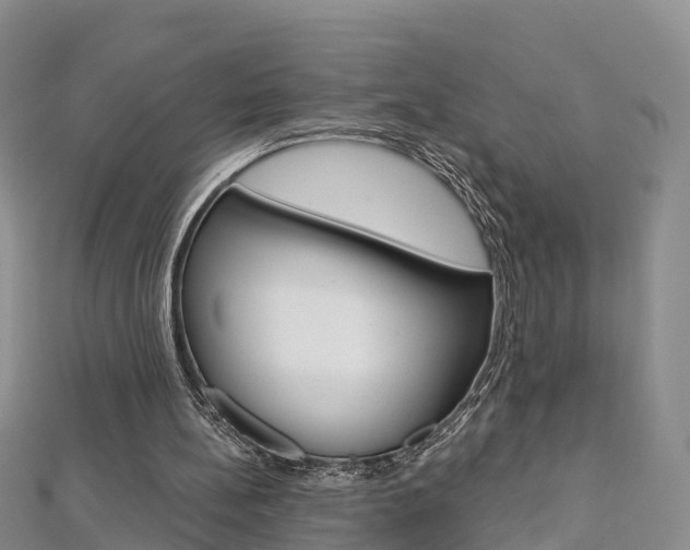 X0000112820148200908211007