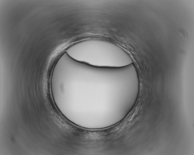 X0000112820149200908211007