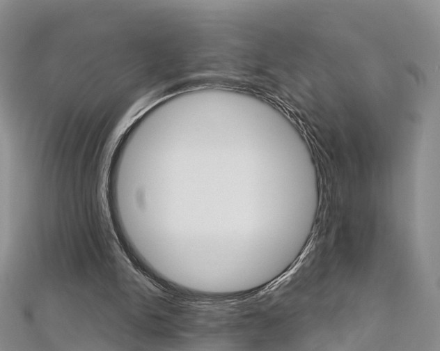 X0000112820150200908211007