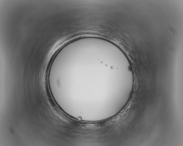 X0000112820151200908211007