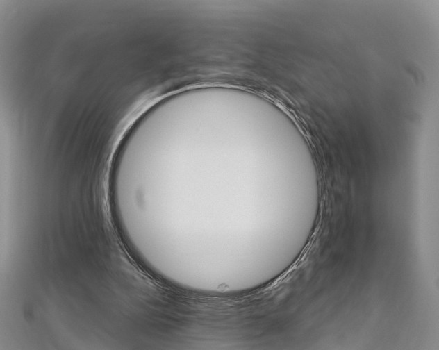 X0000112820152200908211007