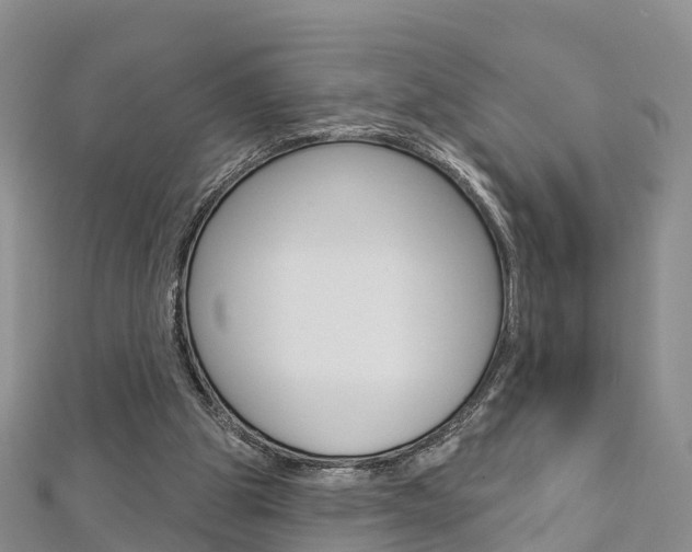X0000112820153200908211007