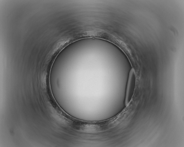 X0000112820154200908211007