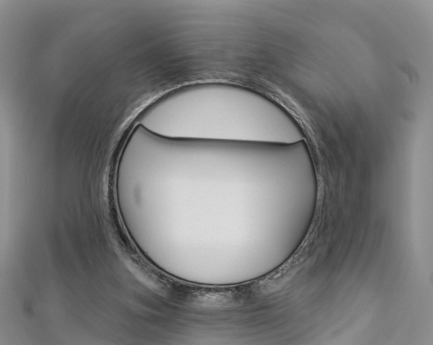 X0000112820155200908211007