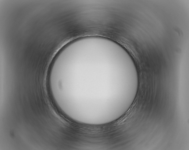 X0000112820156200908211007