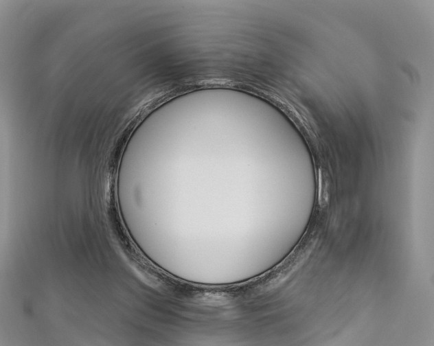 X0000112820157200908211007