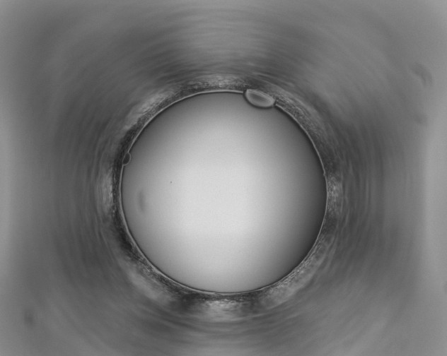 X0000112820158200908211007