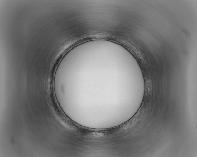 X0000112820159200908211007