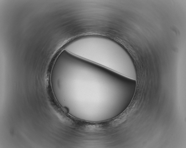 X0000112820160200908211007
