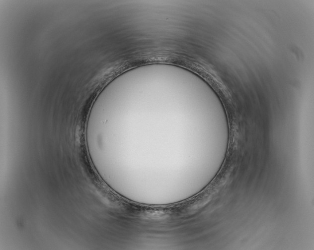 X0000112820161200908211007