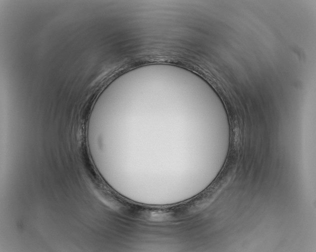 X0000112820165200908211007