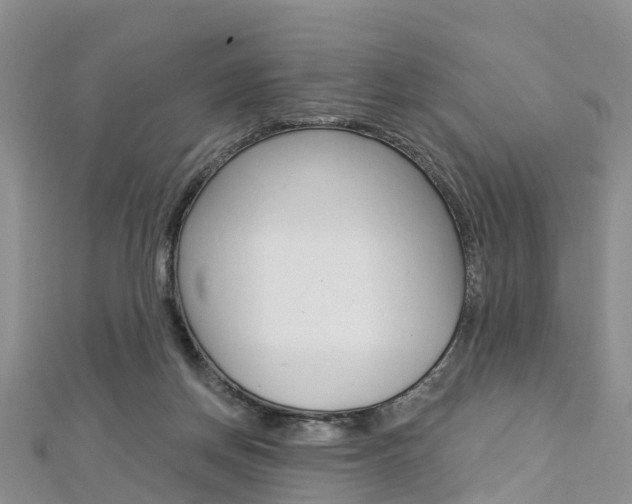 X0000112820166200908211007