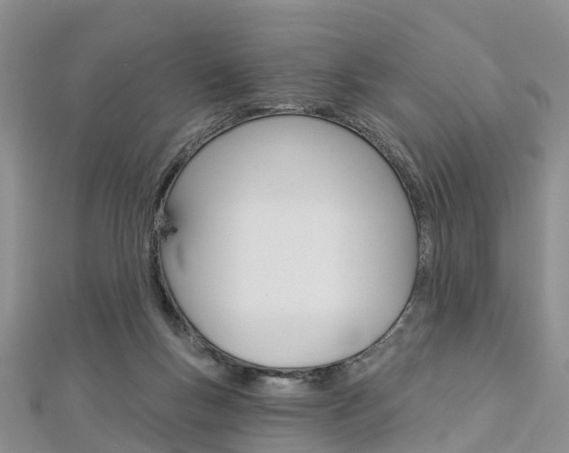 X0000112820167200908211007