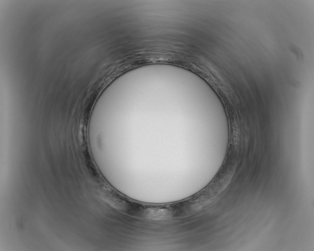 X0000112820169200908211007