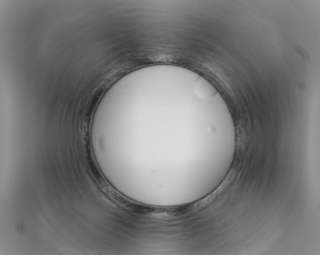 X0000112820171200908211007