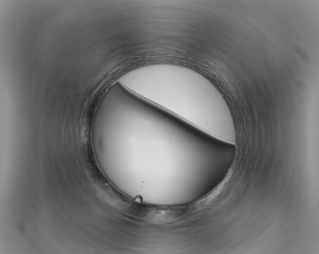 X0000112820174200908211007