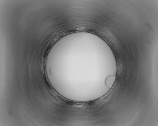 X0000112820175200908211007
