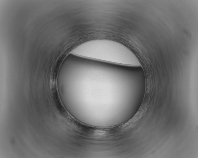 X0000112820176200908211007