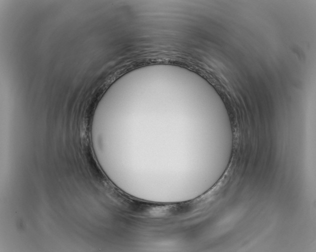 X0000112820178200908211007