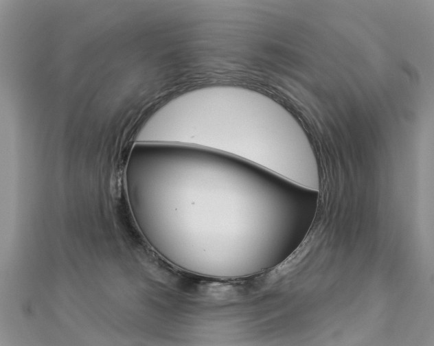 X0000112820180200908211007