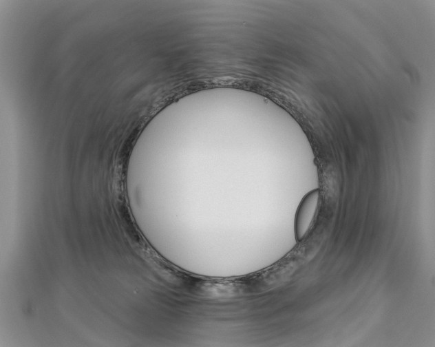 X0000112820181200908211007