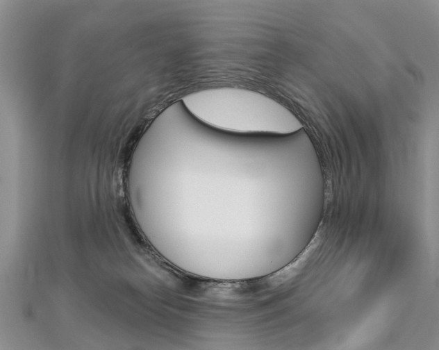 X0000112820182200908211007