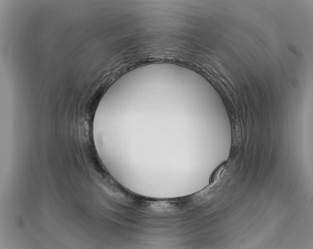 X0000112820183200908211007