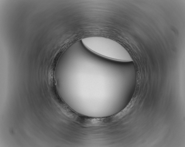 X0000112820184200908211007