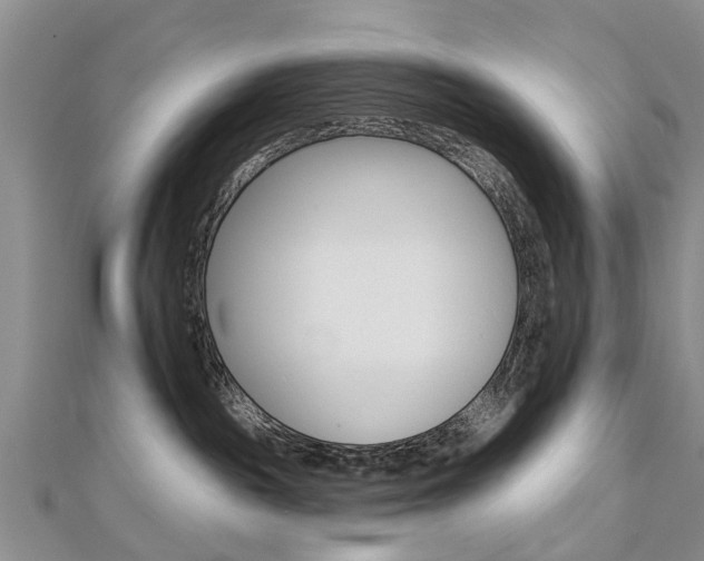 X0000112820189200908211008