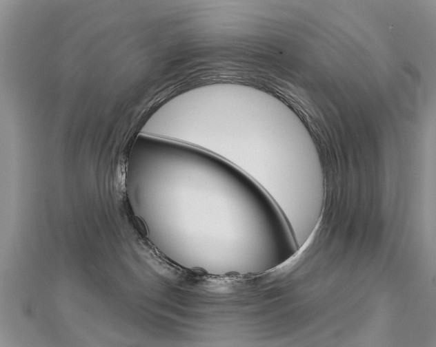 X0000112820190200908211008